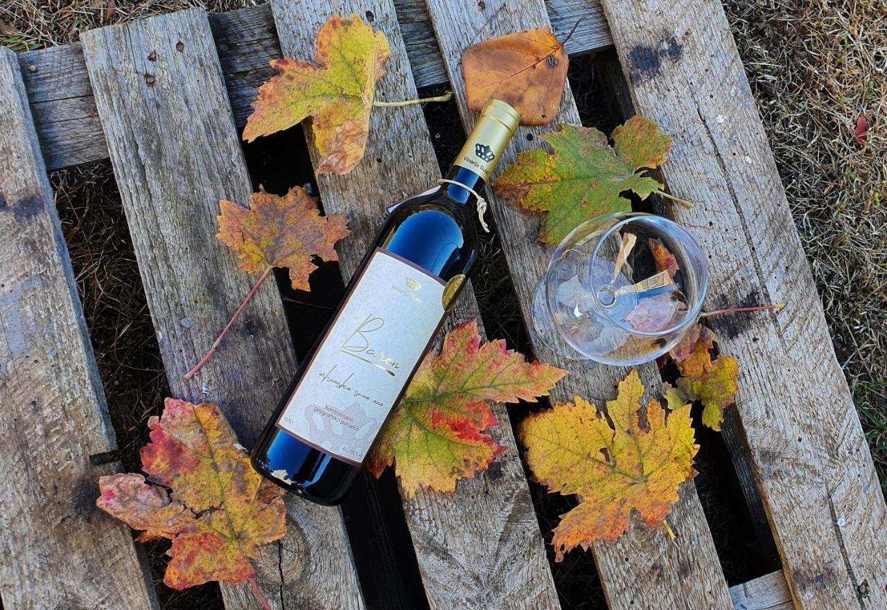 ポドゴリツァDjukic Wineryアパートメント エクステリア 写真
