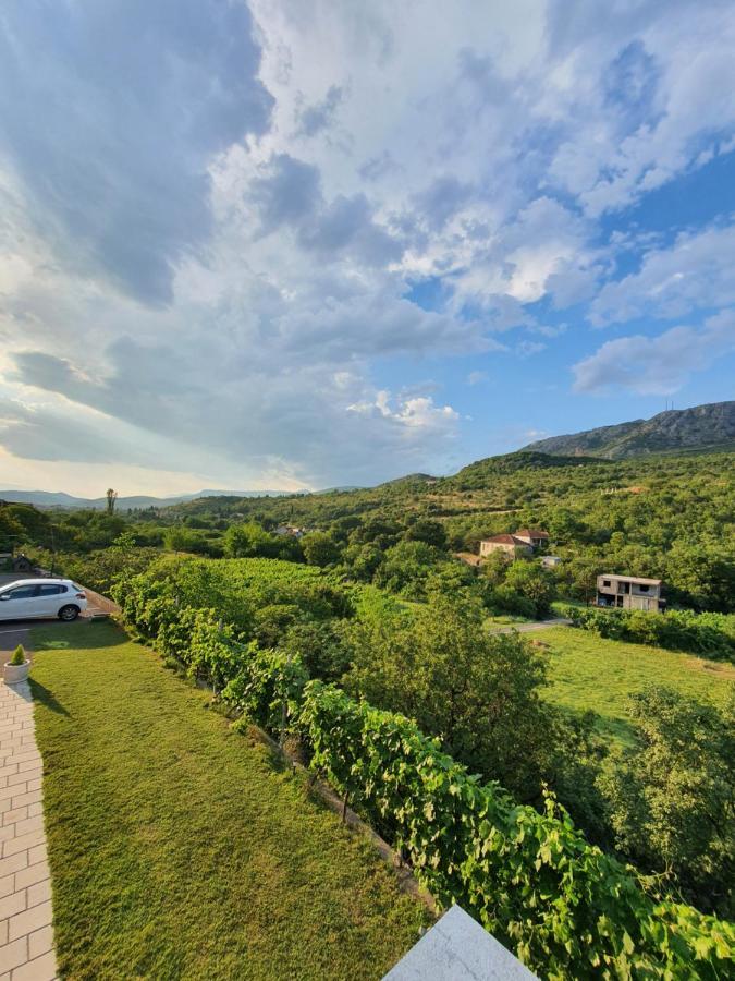 ポドゴリツァDjukic Wineryアパートメント エクステリア 写真