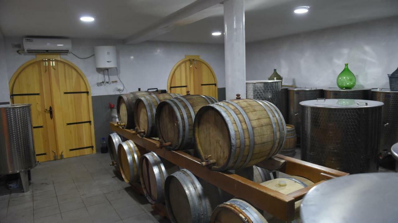 ポドゴリツァDjukic Wineryアパートメント エクステリア 写真